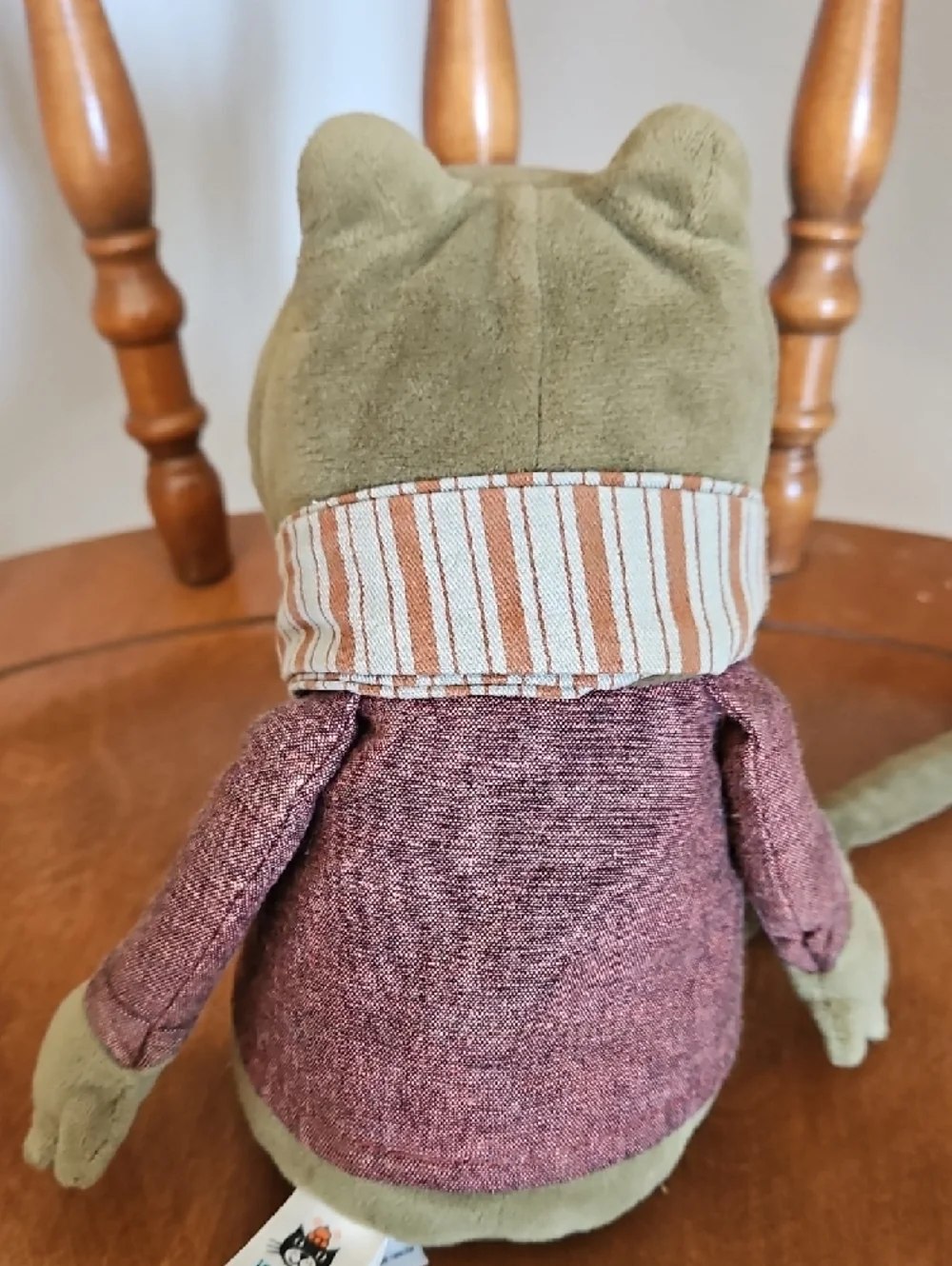 Jellycat Riverside Rambler Frog Plush - Picture 12 of 16